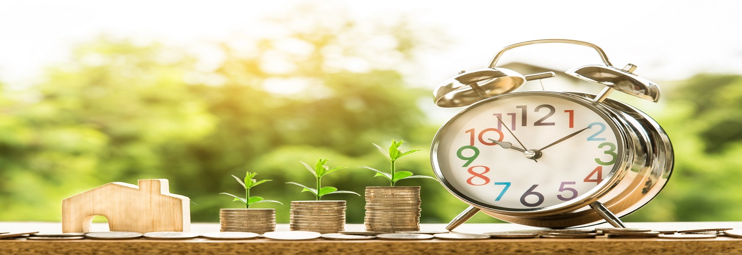 WMC ADVISORY Private Limited providing management consultancy and processing services.